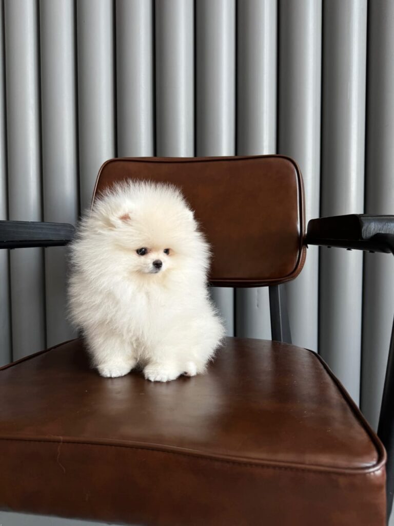 WhatsApp Image 2025-11-08 at 14.38