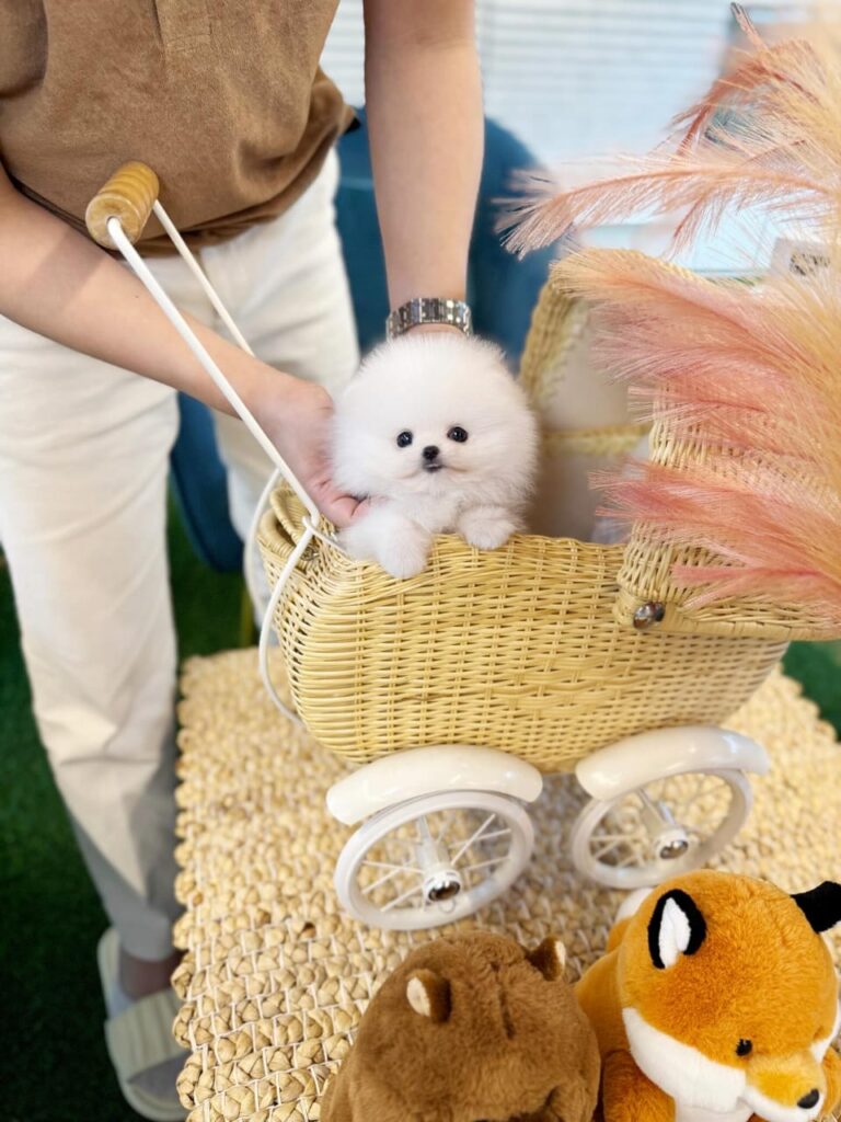 WhatsApp Image 2025-11-08 at 14.41