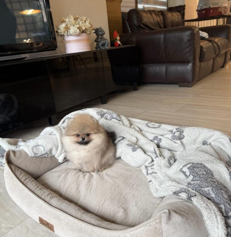 WhatsApp Image 2025-11-08 at 14.42