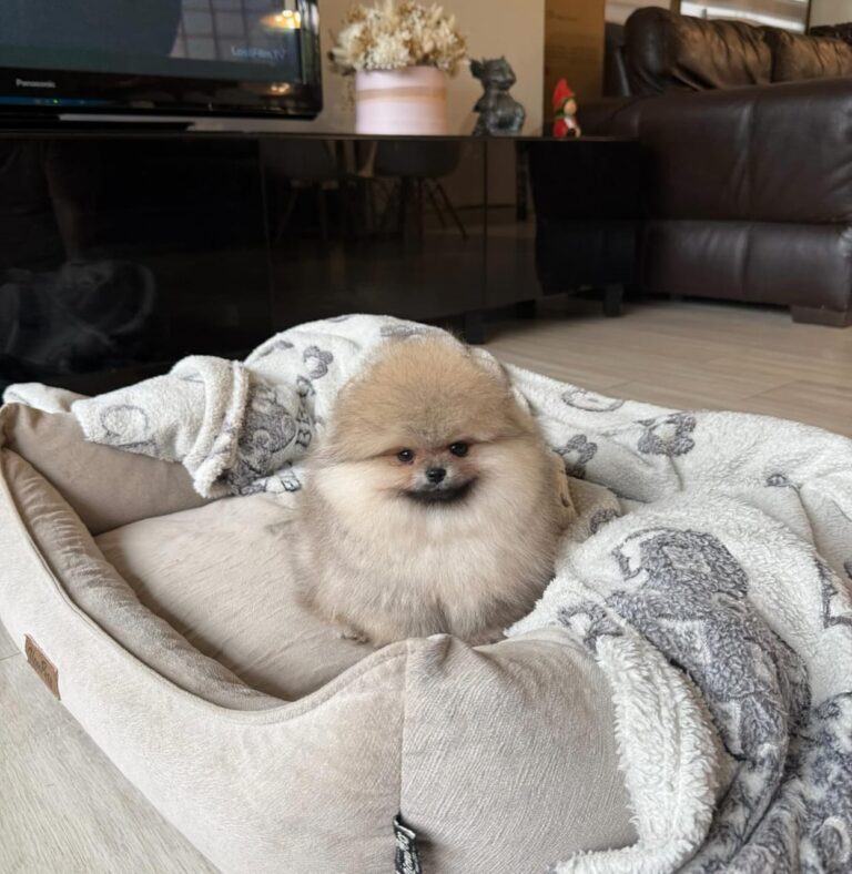 WhatsApp Image 2025-11-08 at 14.42