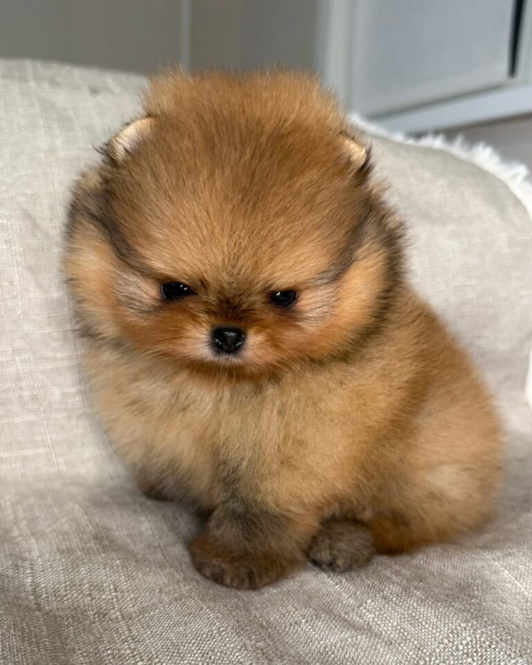 WhatsApp Image 2025-11-08 at 14.43