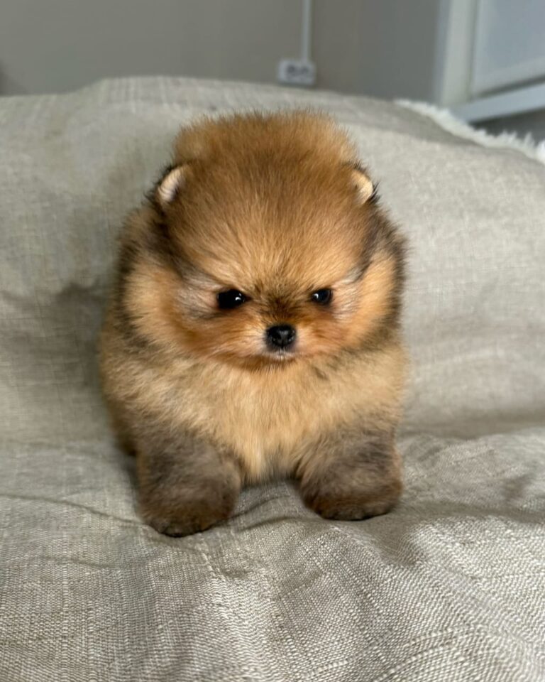 WhatsApp Image 2025-11-08 at 14.43