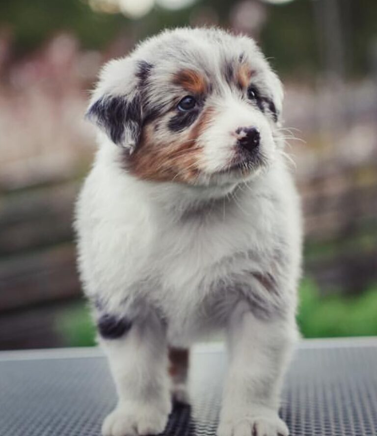 WhatsApp Image 2025-11-08 at 14.45