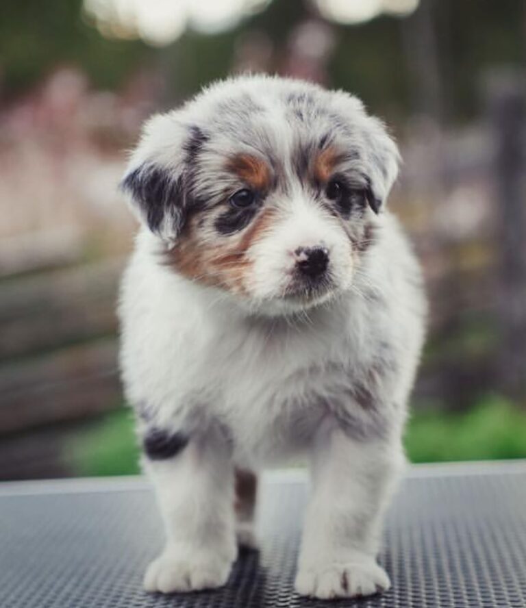 WhatsApp Image 2025-11-08 at 14.45