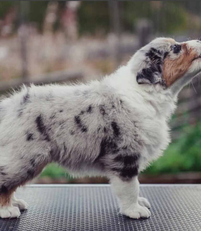 WhatsApp Image 2025-11-08 at 14.45