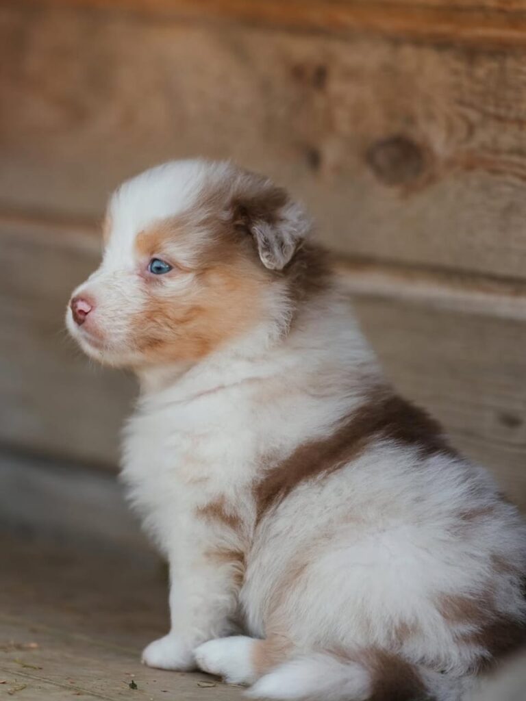 WhatsApp Image 2025-11-08 at 14.47