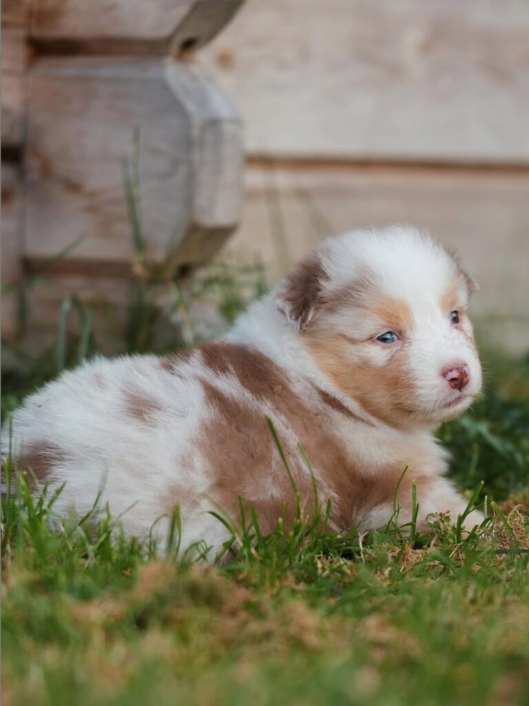 WhatsApp Image 2025-11-08 at 14.47