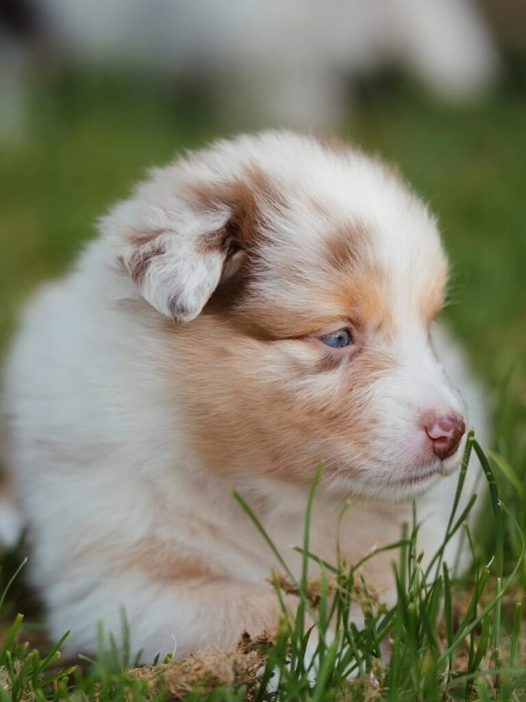 WhatsApp Image 2025-11-08 at 14.47