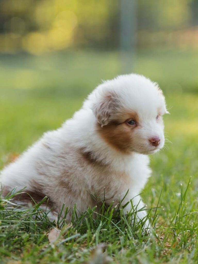 WhatsApp Image 2025-11-08 at 14.49