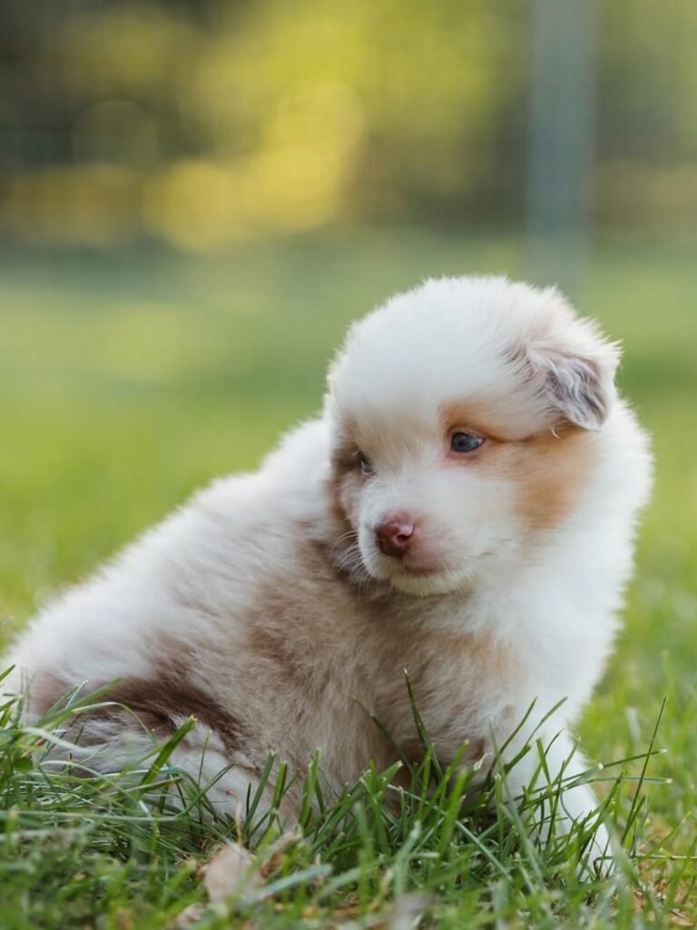 WhatsApp Image 2025-11-08 at 14.49