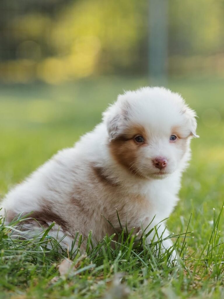 WhatsApp Image 2025-11-08 at 14.49