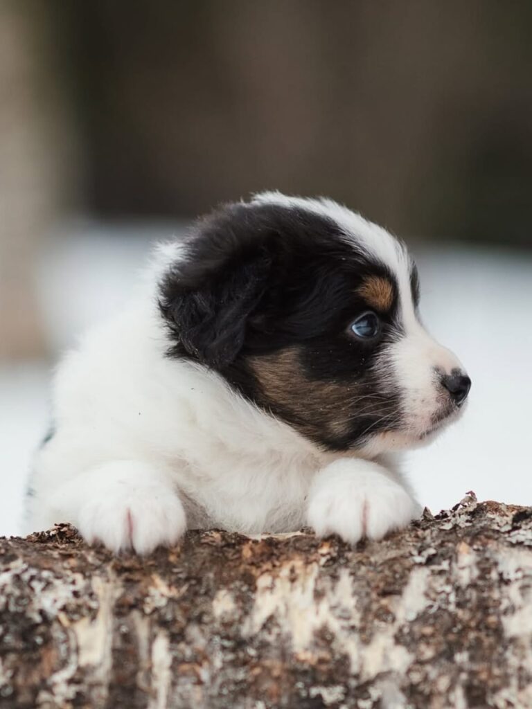 WhatsApp Image 2025-11-08 at 14.51