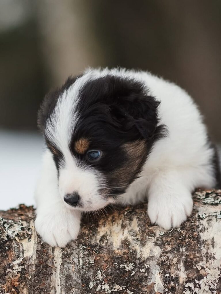 WhatsApp Image 2025-11-08 at 14.51