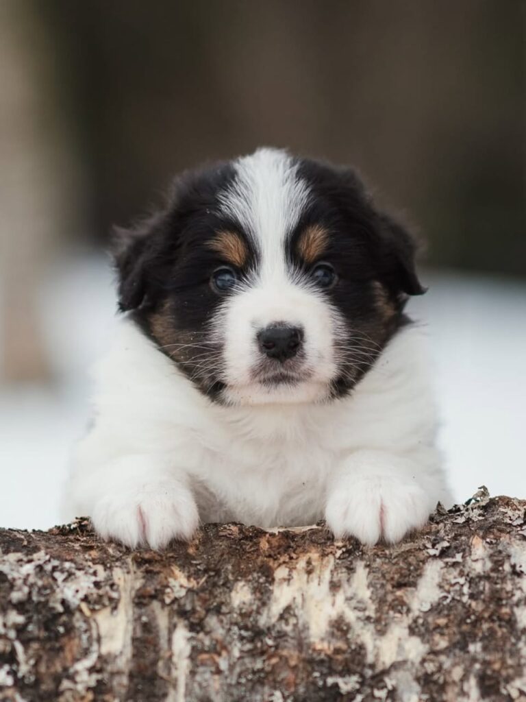 WhatsApp Image 2025-11-08 at 14.51