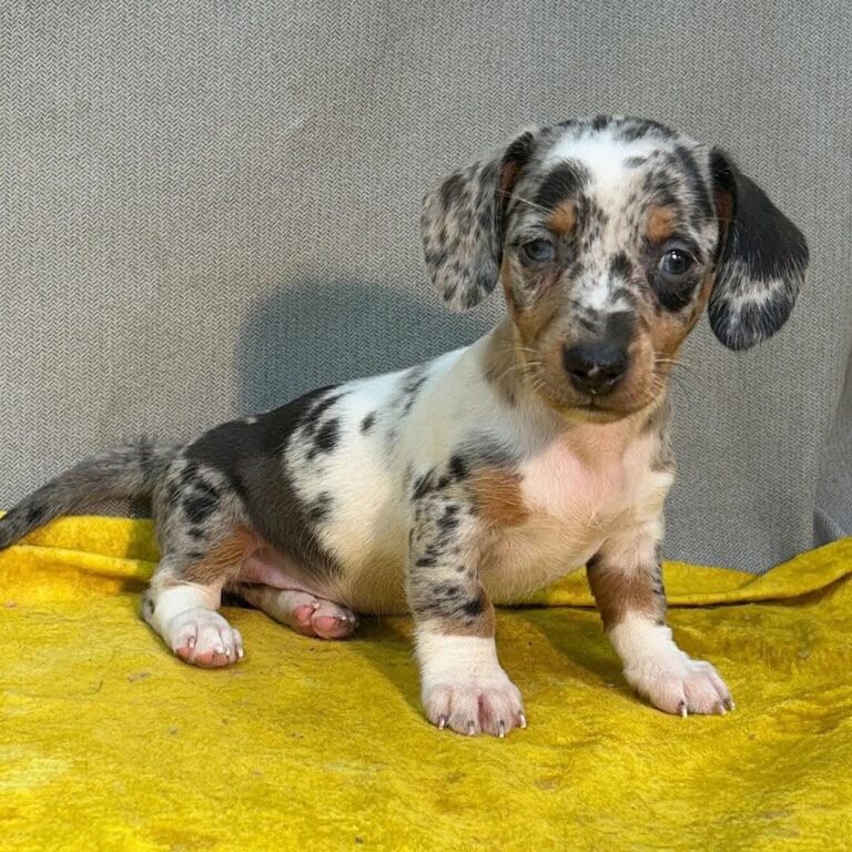 WhatsApp Image 2025-11-08 at 14.54