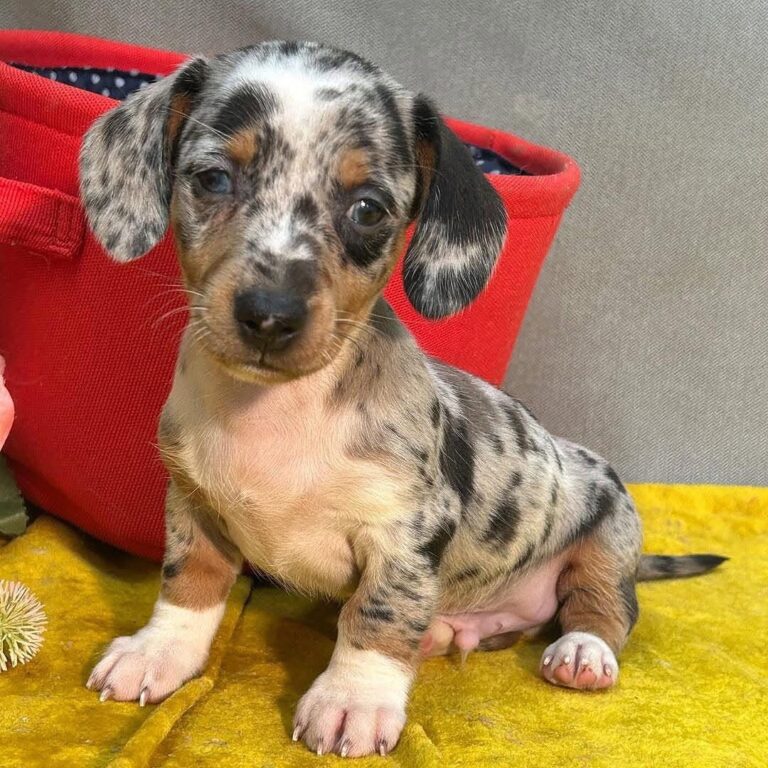 WhatsApp Image 2025-11-08 at 14.54