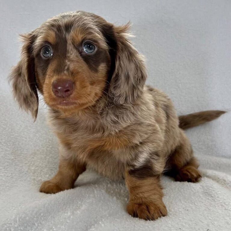 WhatsApp Image 2025-11-08 at 14.56