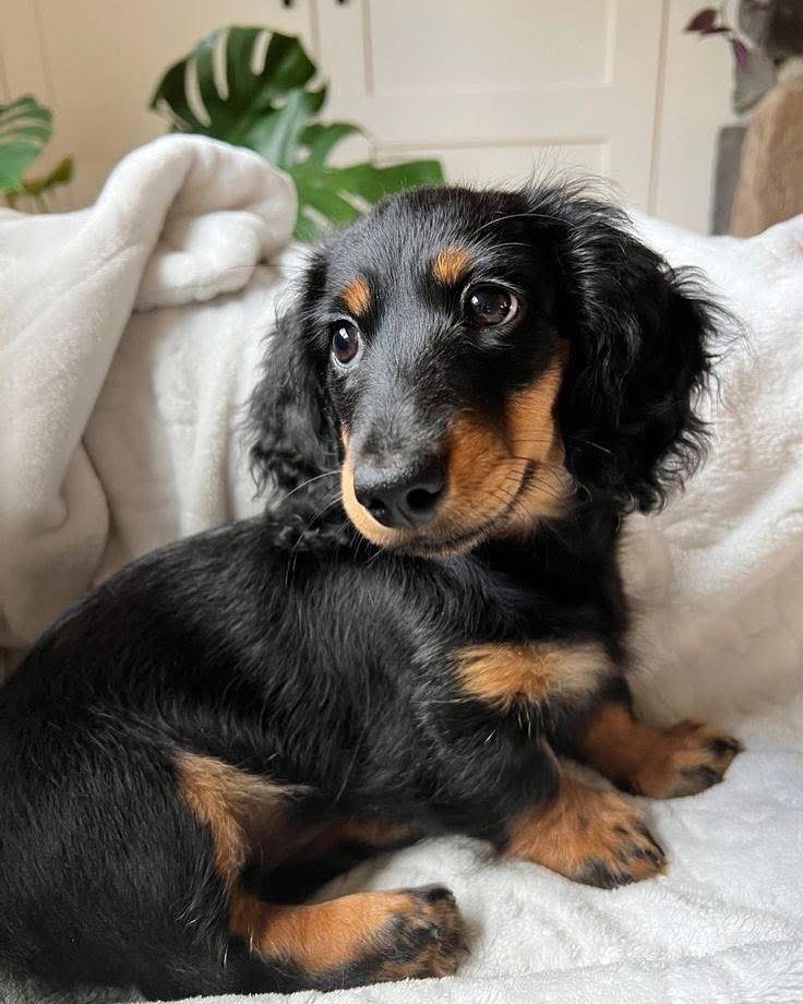 WhatsApp Image 2025-11-08 at 14.57