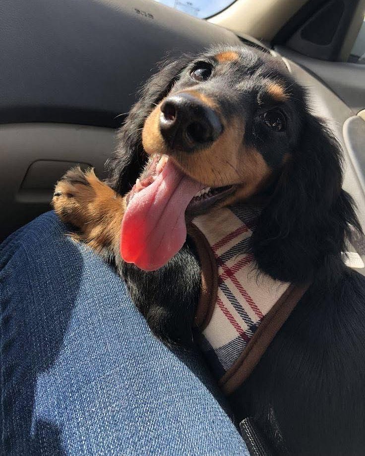 WhatsApp Image 2025-11-08 at 14.57