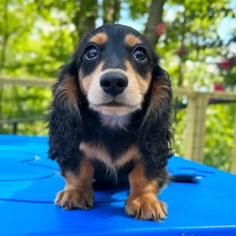 WhatsApp Image 2025-11-08 at 14.58