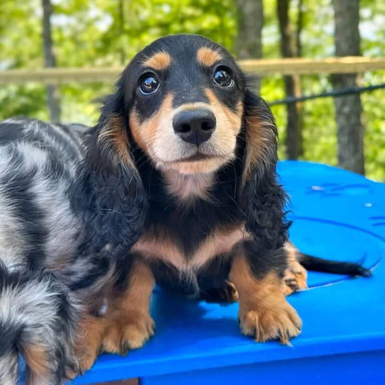 WhatsApp Image 2025-11-08 at 14.58