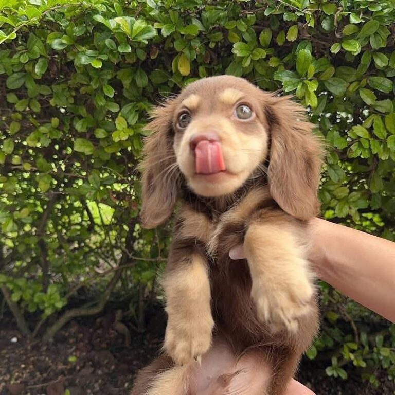 WhatsApp Image 2025-11-08 at 14.59