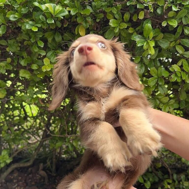 WhatsApp Image 2025-11-08 at 14.59