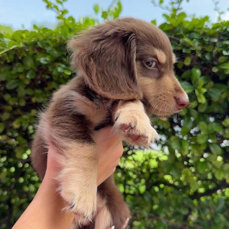 WhatsApp Image 2025-11-08 at 14.59