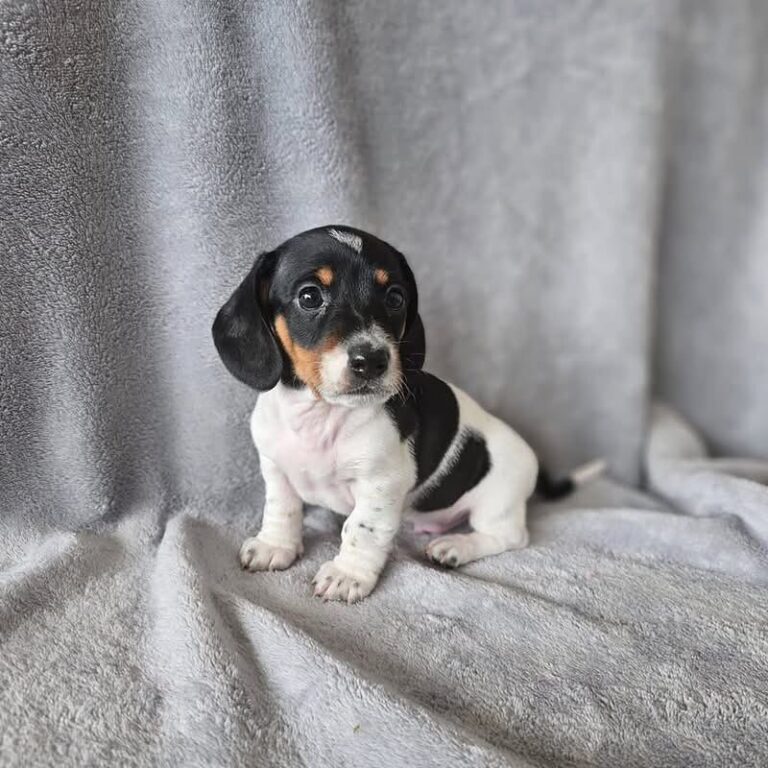 WhatsApp Image 2025-11-08 at 15.00