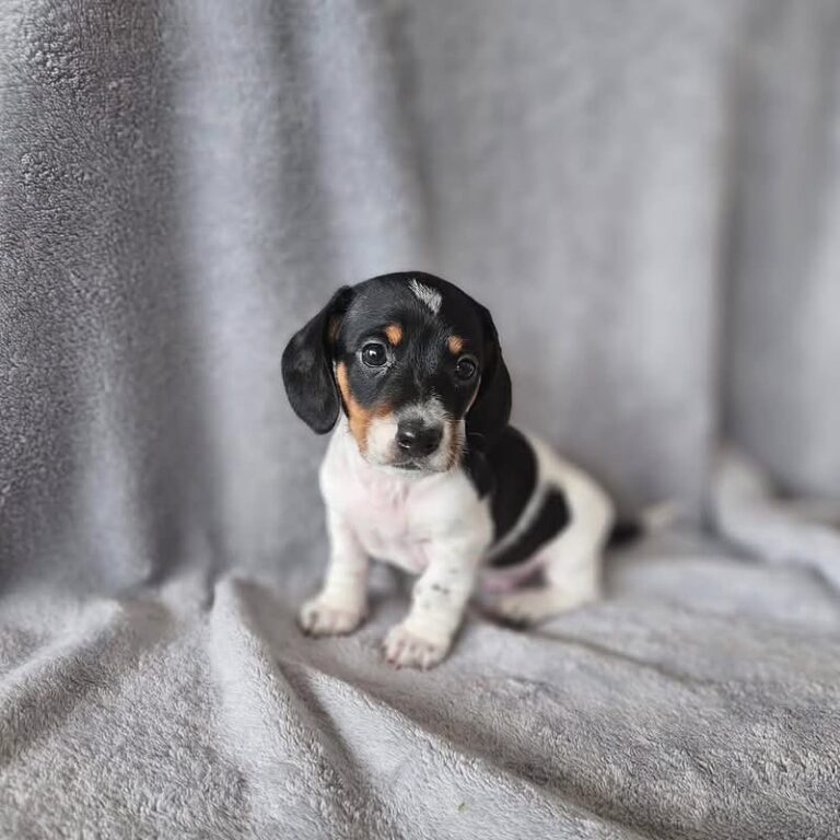 WhatsApp Image 2025-11-08 at 15.00