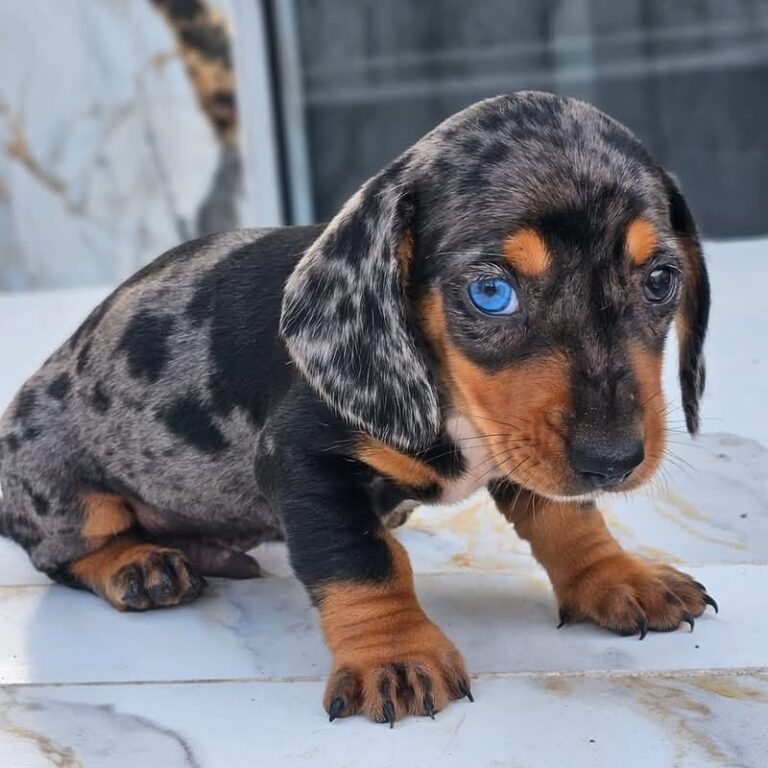 WhatsApp Image 2025-11-08 at 15.01