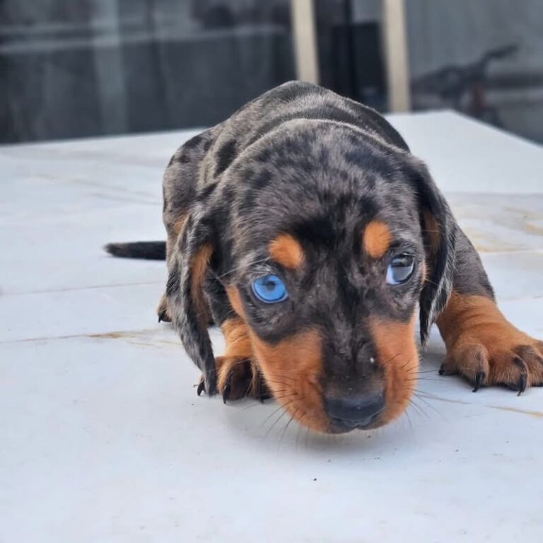 WhatsApp Image 2025-11-08 at 15.01