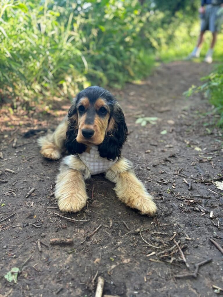 WhatsApp Image 2025-11-08 at 15.03