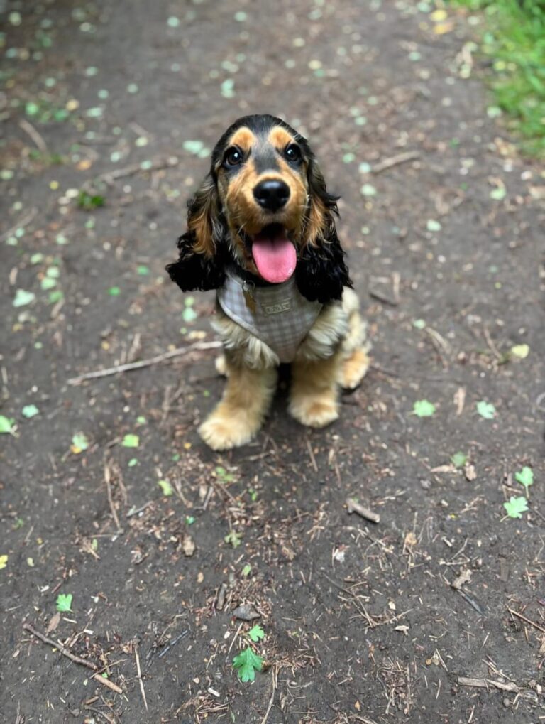 WhatsApp Image 2025-11-08 at 15.03