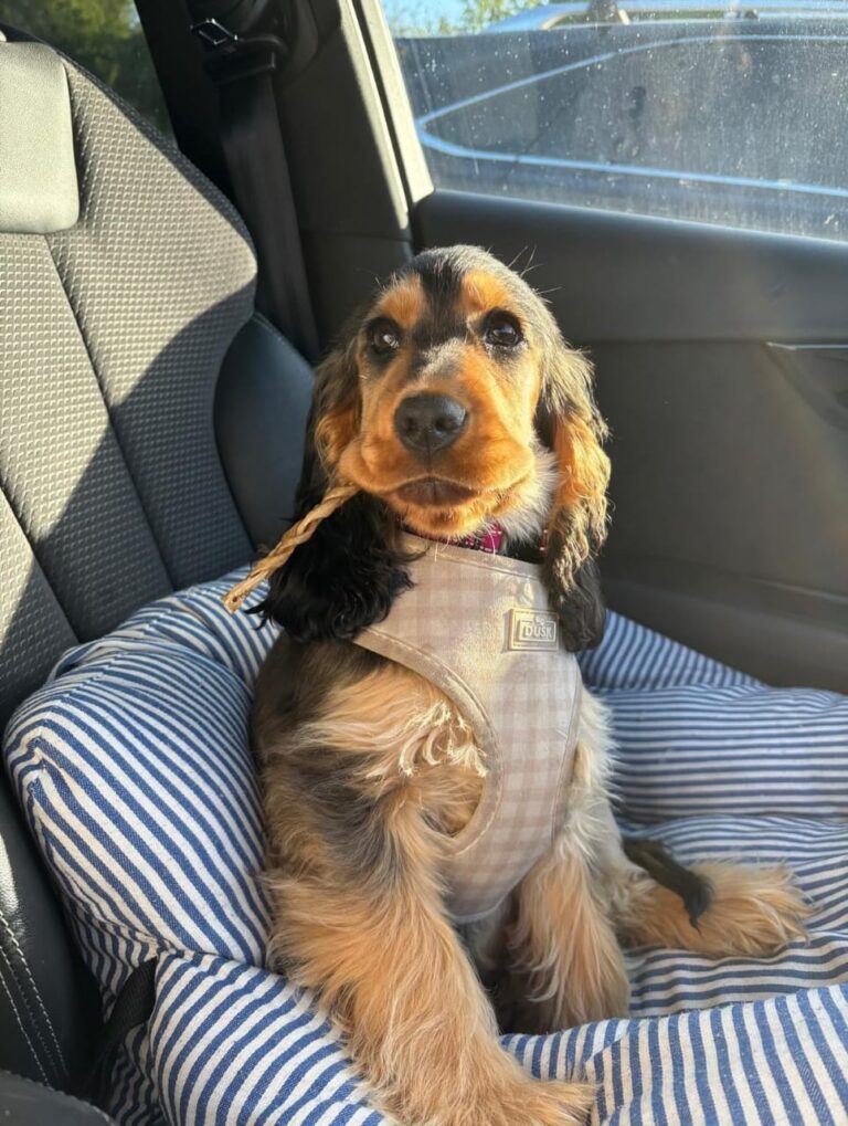 WhatsApp Image 2025-11-08 at 15.04