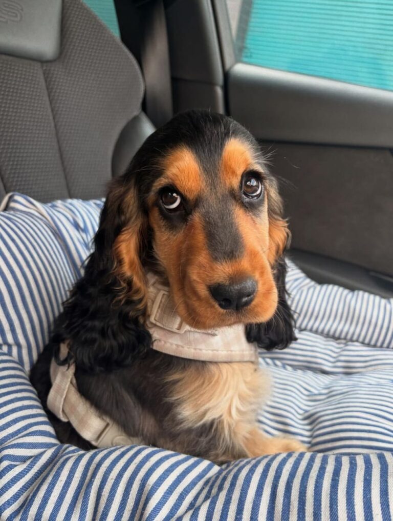 WhatsApp Image 2025-11-08 at 15.04