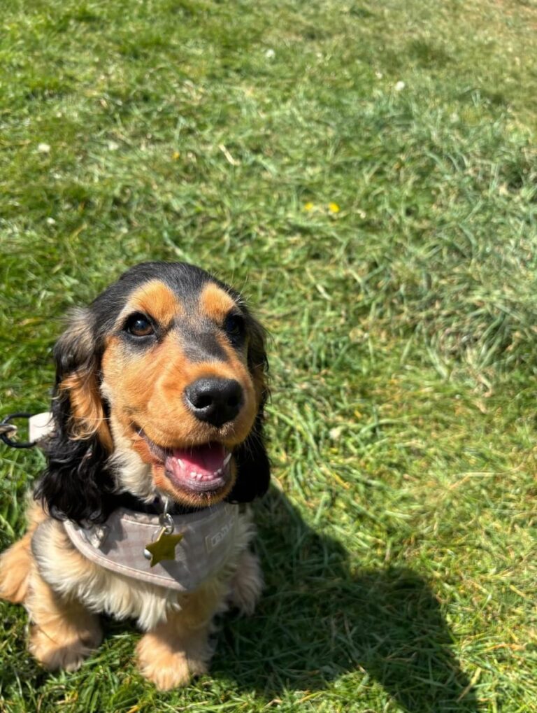 WhatsApp Image 2025-11-08 at 15.04