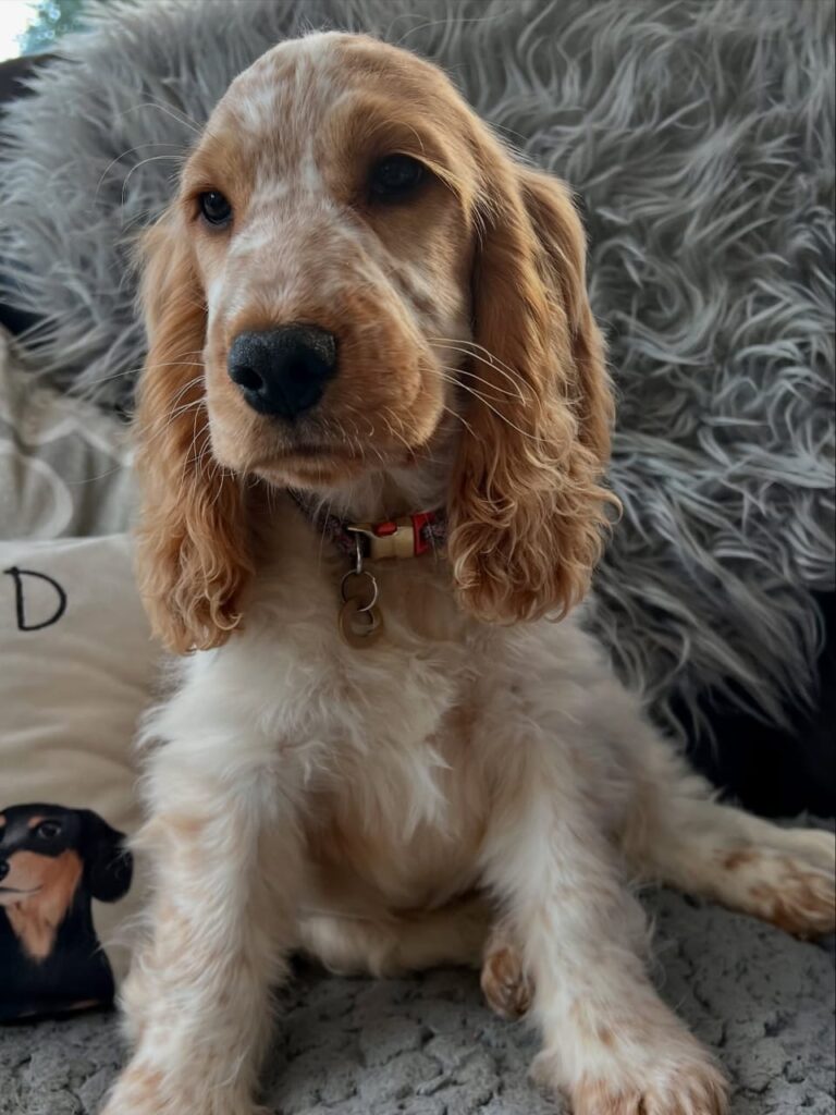 WhatsApp Image 2025-11-08 at 15.05