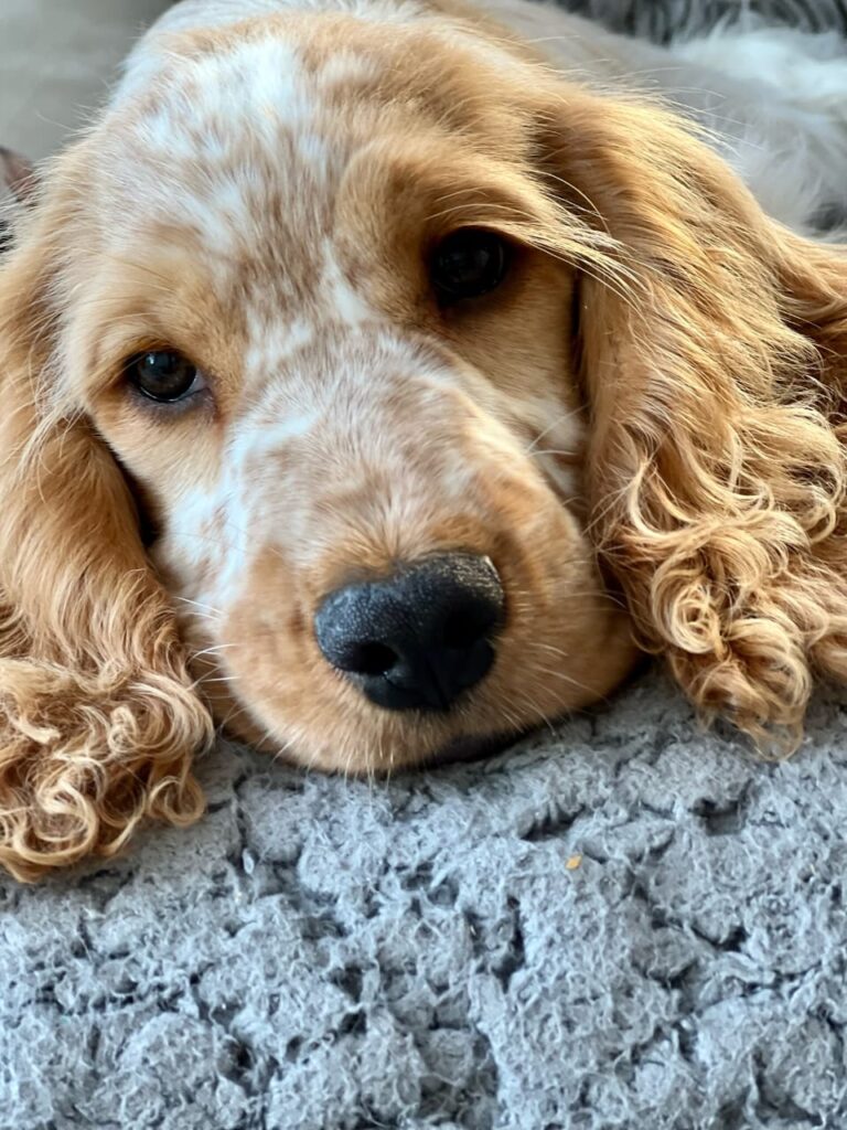 WhatsApp Image 2025-11-08 at 15.05