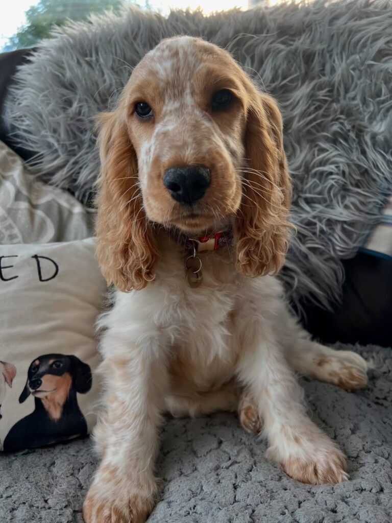 WhatsApp Image 2025-11-08 at 15.05