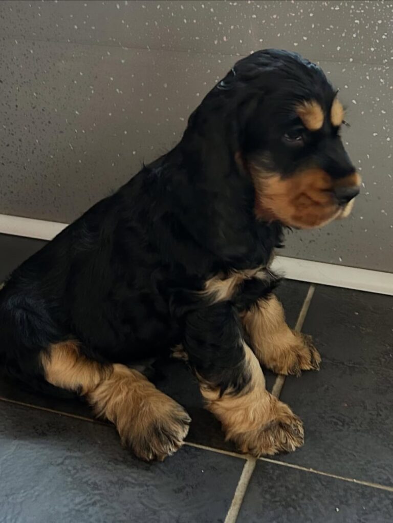 WhatsApp Image 2025-11-08 at 15.06