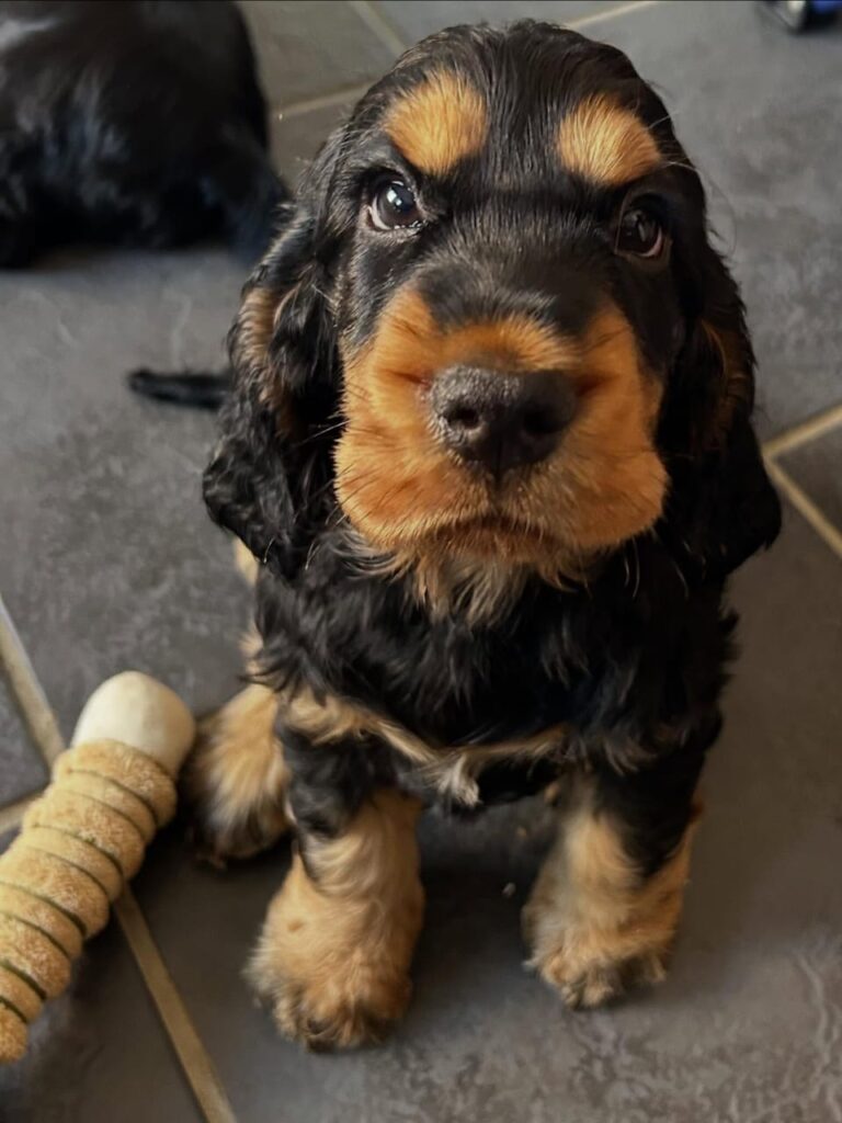 WhatsApp Image 2025-11-08 at 15.06