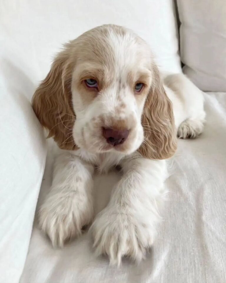 WhatsApp Image 2025-11-08 at 15.07