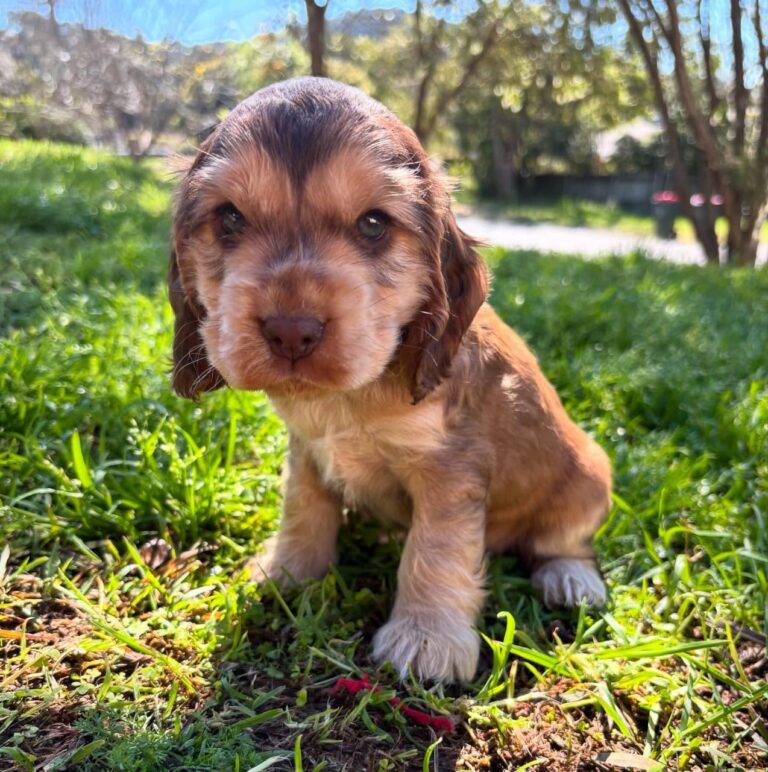 WhatsApp Image 2025-11-08 at 15.09