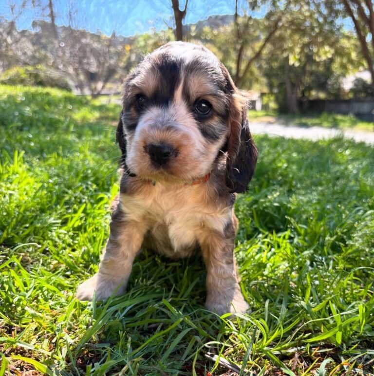 WhatsApp Image 2025-11-08 at 15.09