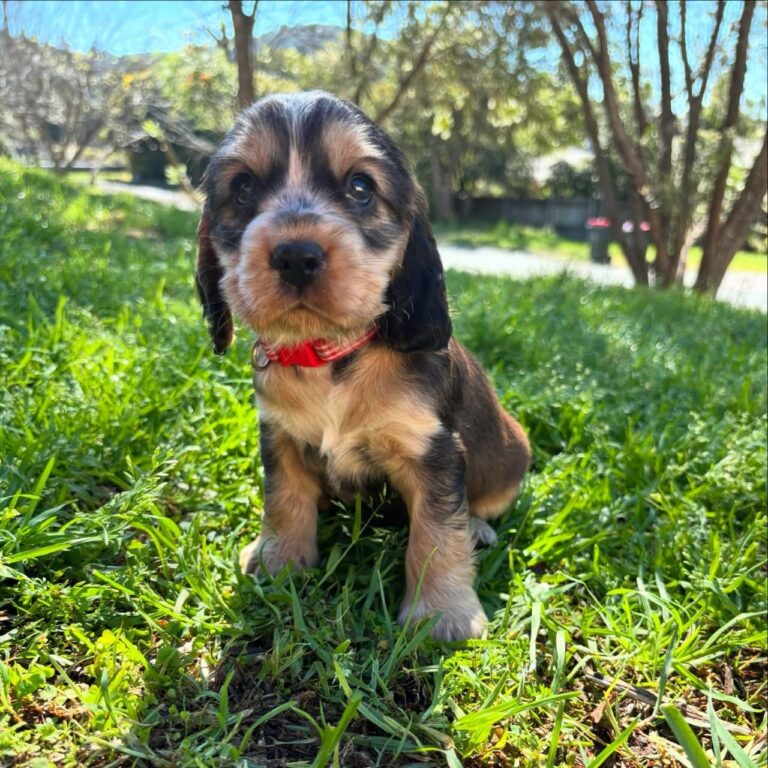 WhatsApp Image 2025-11-08 at 15.09