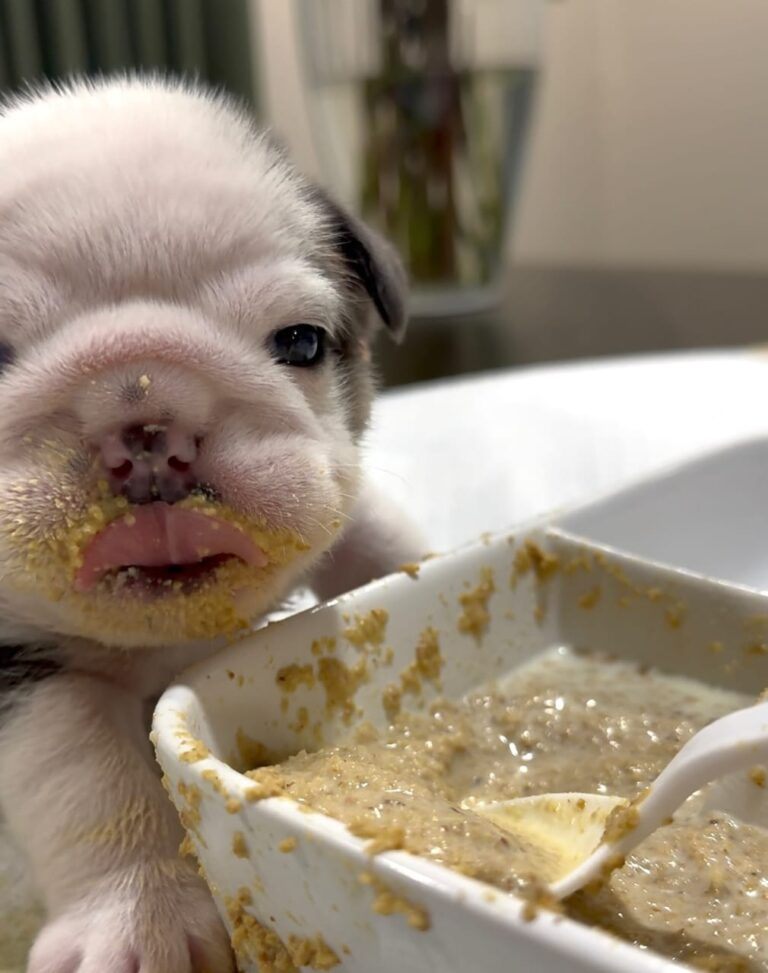 WhatsApp Image 2025-11-08 at 15.10