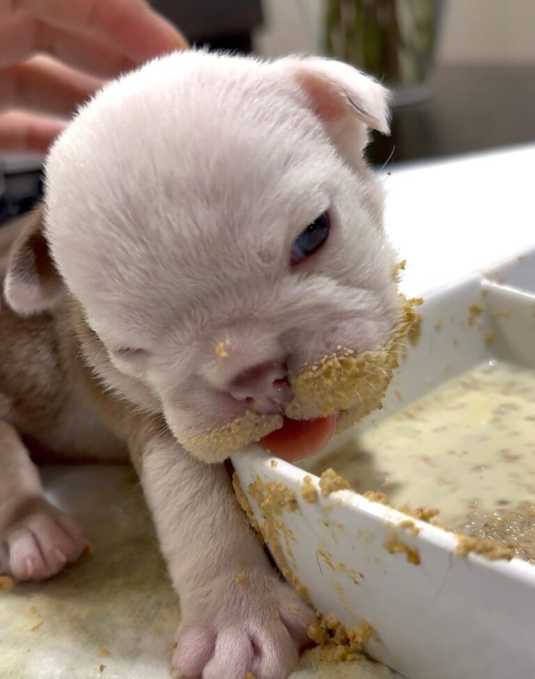 WhatsApp Image 2025-11-08 at 15.10