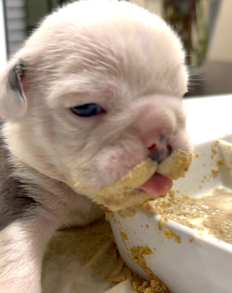 WhatsApp Image 2025-11-08 at 15.10