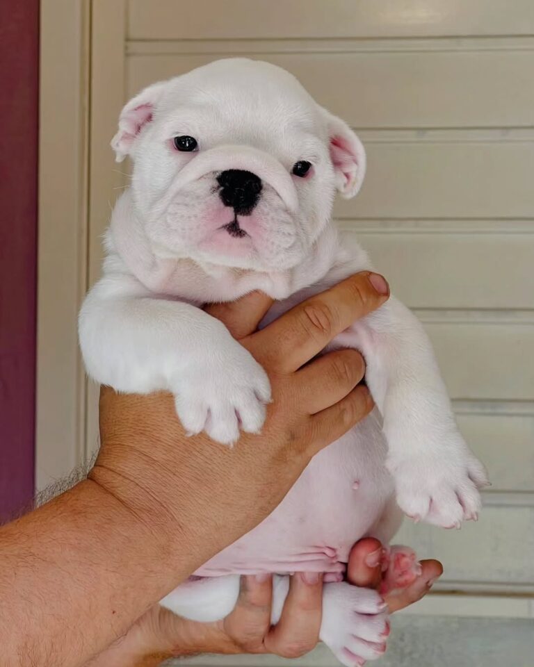 WhatsApp Image 2025-11-08 at 15.12